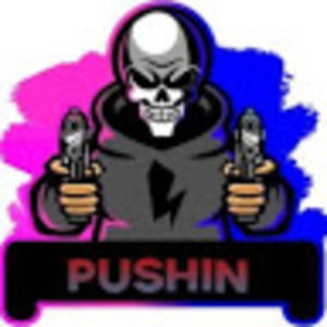 Meet your Posher, Pushin